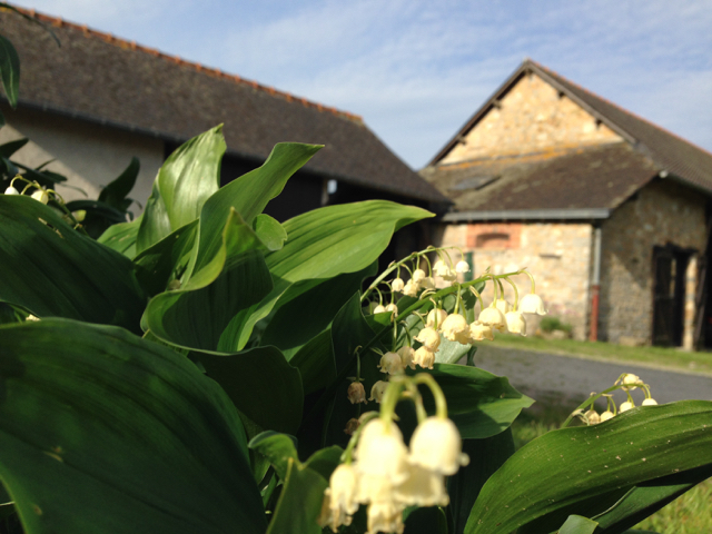 Un Brin De Muguet French Blog Practice Listen And Learn French Today